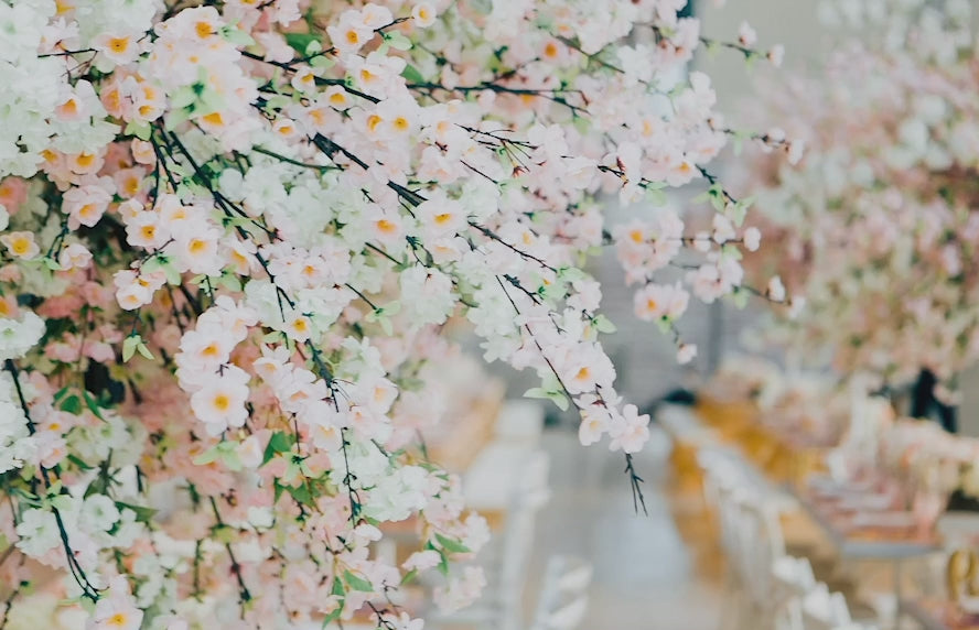 Video fallback image