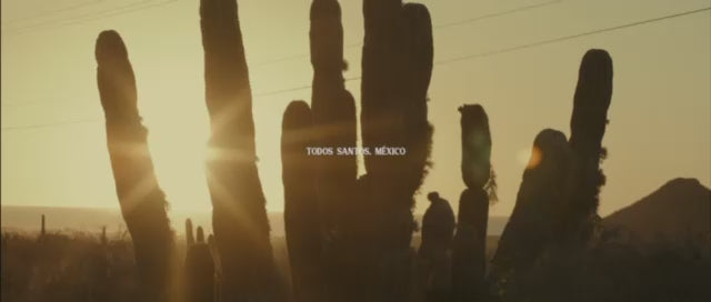 Video fallback image