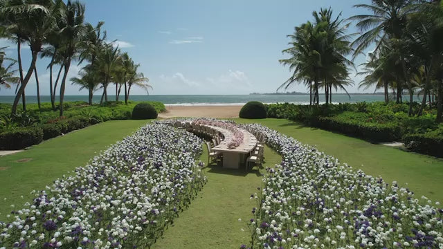 Video fallback image